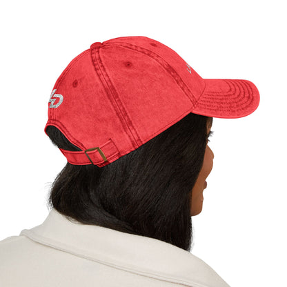 La Discipline Vintage Embroidered Cap — Washed Red Baseball Hat Printify